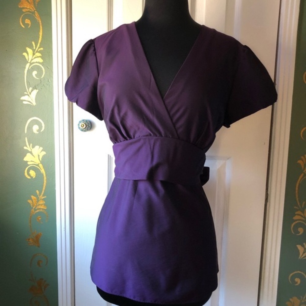 Ann Taylor Top (10)
